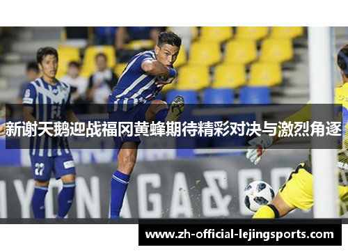 新谢天鹅迎战福冈黄蜂期待精彩对决与激烈角逐